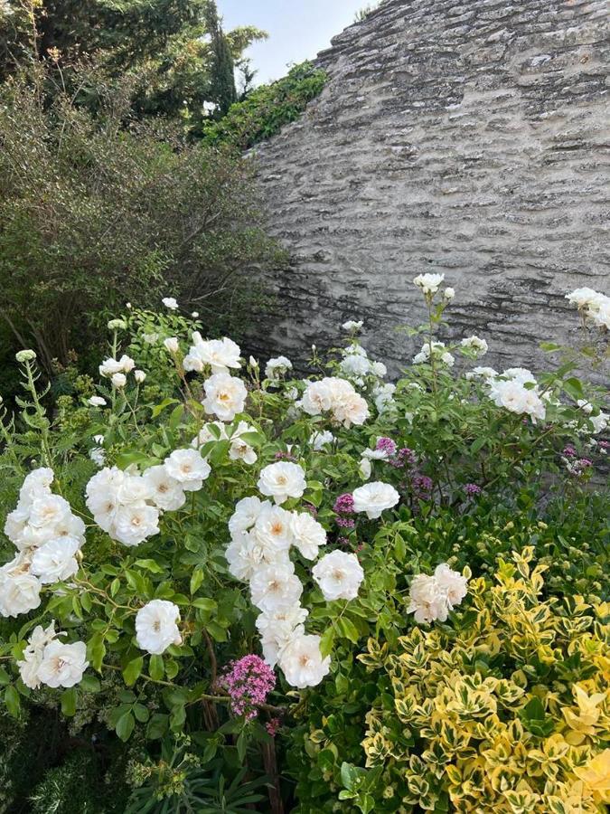 לינה וארוחת בוקר גורדס La Borie En Provence מראה חיצוני תמונה
