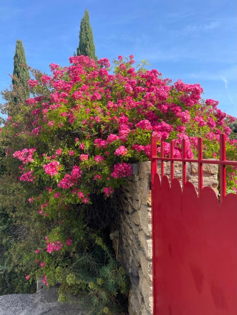 לינה וארוחת בוקר גורדס La Borie En Provence מראה חיצוני תמונה