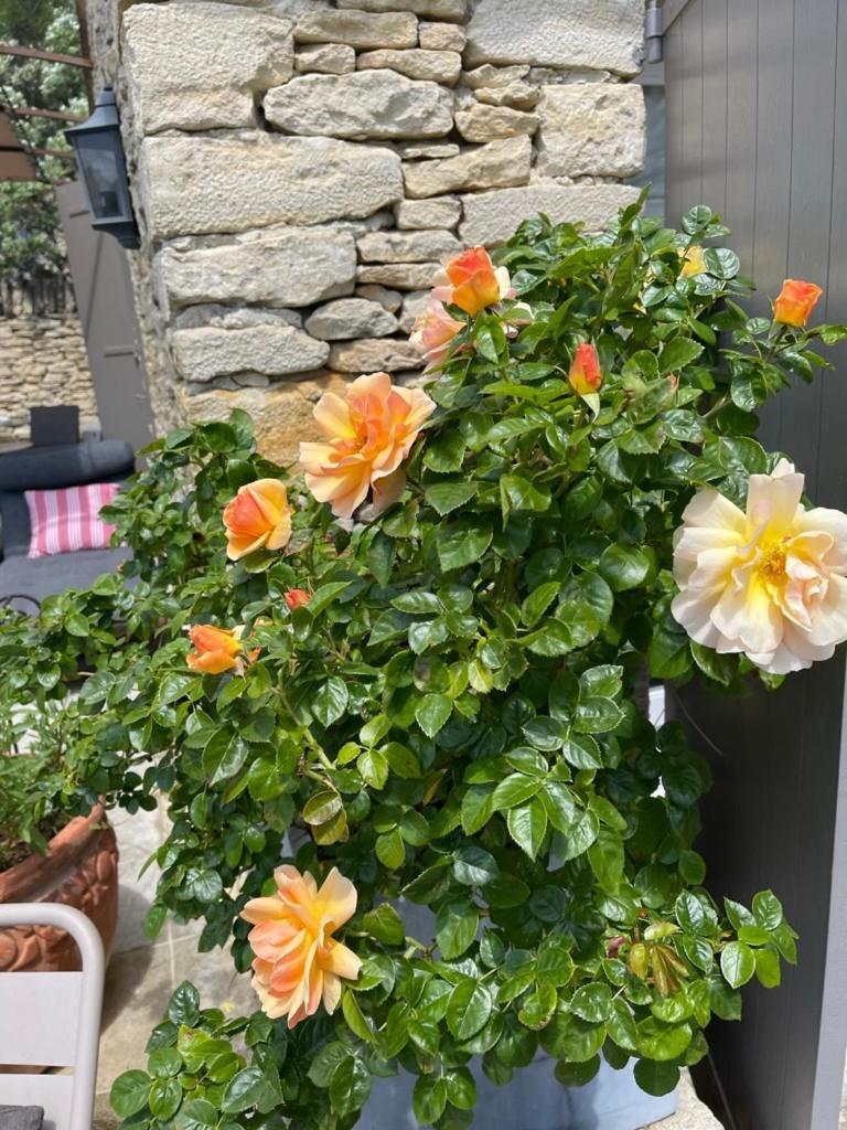 לינה וארוחת בוקר גורדס La Borie En Provence מראה חיצוני תמונה