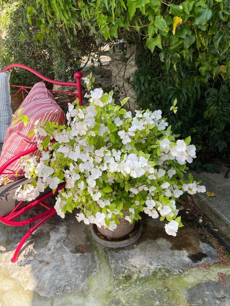 לינה וארוחת בוקר גורדס La Borie En Provence מראה חיצוני תמונה