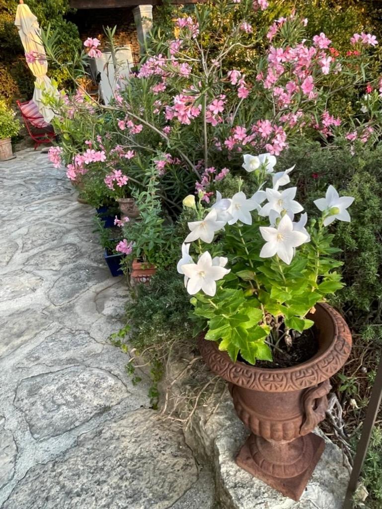 לינה וארוחת בוקר גורדס La Borie En Provence מראה חיצוני תמונה