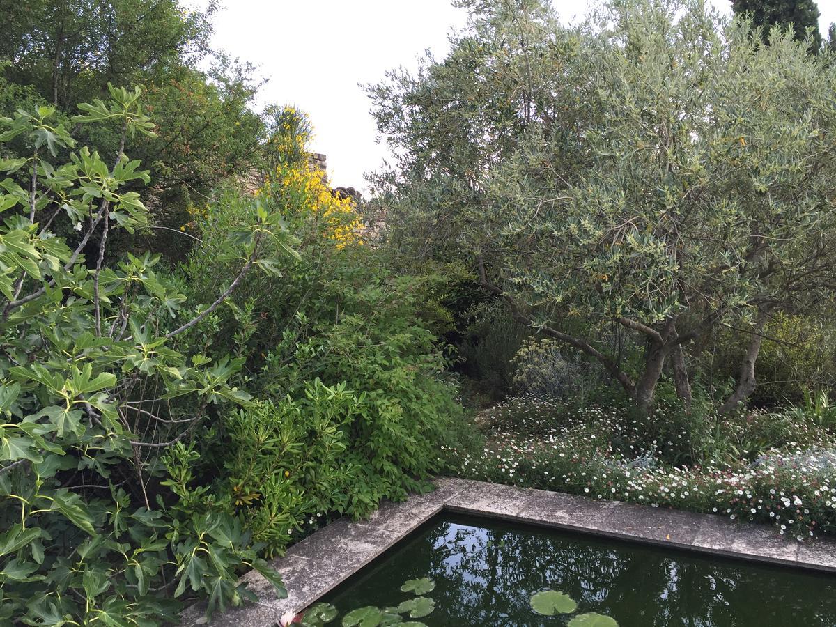 לינה וארוחת בוקר גורדס La Borie En Provence מראה חיצוני תמונה