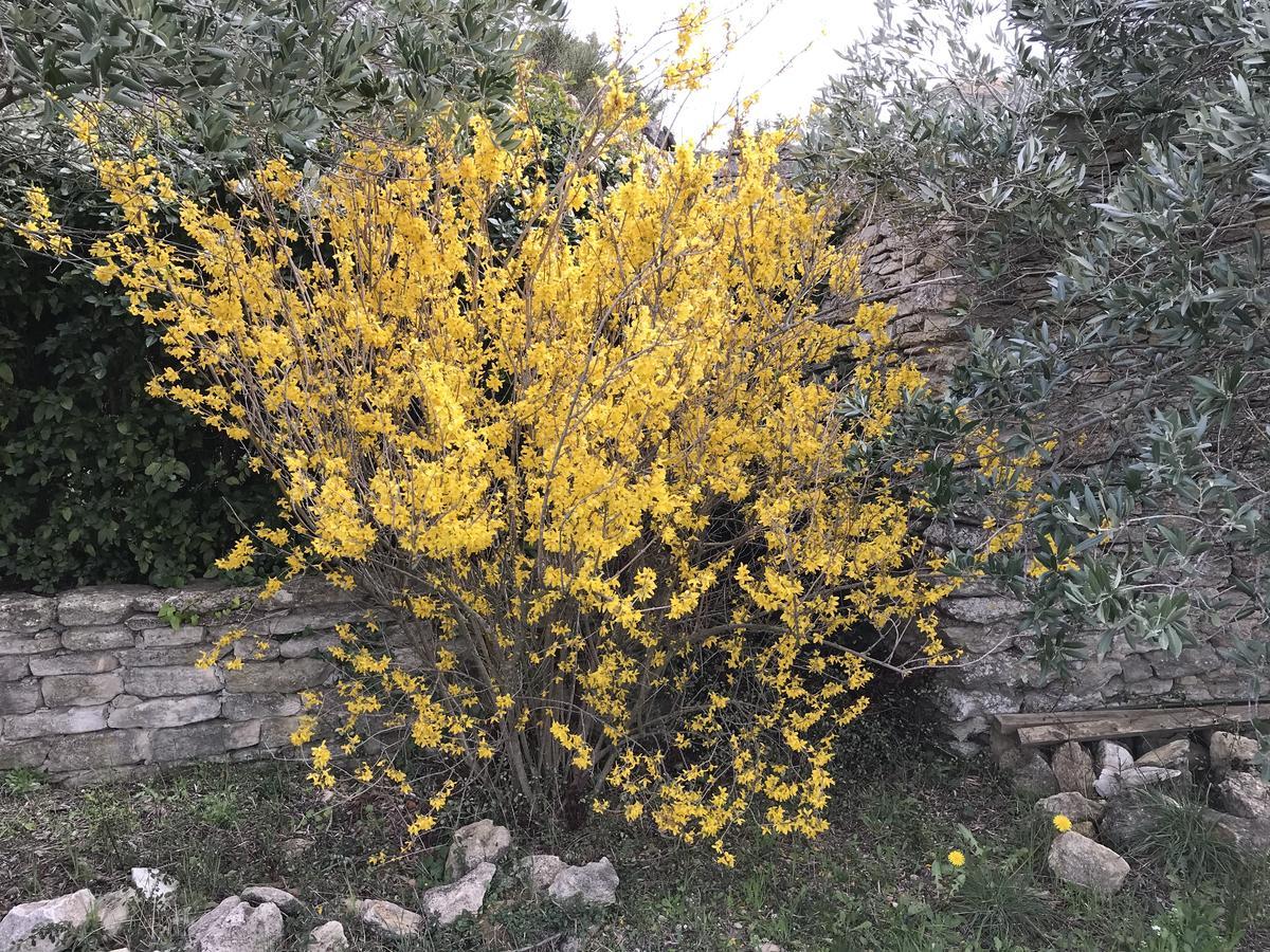 לינה וארוחת בוקר גורדס La Borie En Provence מראה חיצוני תמונה